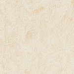 アイボリー 木目  防かび  サンゲツ FE74195
