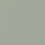 グリーン 塗り壁調  抗菌 表面強化 防かび  サンゲツ FE74343