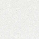 ホワイト 塗り壁調  消臭 抗菌 防かび  サンゲツ FE74681