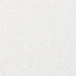 ライトアイボリー 塗り壁調  防かび  サンゲツ FE74808
