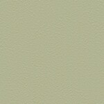グリーン 塗り壁調  防かび 抗菌 撥水  サンゲツ FE76031