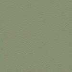 グリーン 塗り壁調  防かび 抗菌 撥水  サンゲツ FE76032