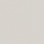 ライトグレー 塗り壁調  防かび 抗菌 撥水  サンゲツ FE76034