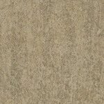 ライトブラウン 塗り壁調  防かび 抗菌 撥水  サンゲツ FE76132 