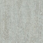 グレー 塗り壁調  防かび 抗菌 撥水  サンゲツ FE76134 