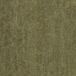 グリーン 塗り壁調  防かび 抗菌 撥水  サンゲツ FE76135 