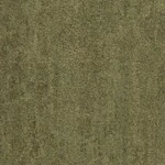 グリーン 塗り壁調  防かび 抗菌 撥水  サンゲツ FE76135 