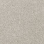 ライトグレー 無地  防かび 抗菌  サンゲツ FE76138 旧品番FE74019
