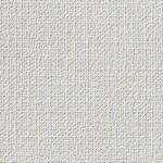 シャドーホワイト 織物調  防かび 抗菌 撥水  サンゲツ FE76149 旧品番FE74061