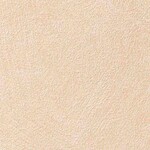 オレンジ 塗り壁調  防かび 抗菌 撥水  サンゲツ FE76190 