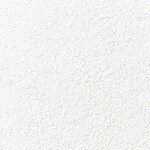 ホワイト 塗り壁調  防かび 抗菌 表面強化 撥水 消臭  サンゲツ FE76249 旧品番FE74656