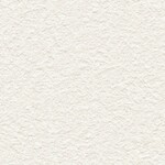 アイボリー 塗り壁調  防かび 抗菌 表面強化 撥水  サンゲツ FE76251 