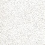 シャドーホワイト 塗り壁調  防かび 抗菌 表面強化 撥水  サンゲツ FE76253 