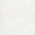 シャドーホワイト 塗り壁調  防かび 抗菌 表面強化 撥水  サンゲツ FE76253 