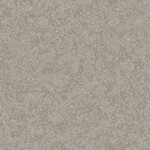 グレー 塗り壁調  防かび 抗菌 表面強化 撥水  サンゲツ FE76283 