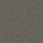 ダークグレー 塗り壁調  防かび 抗菌 表面強化 撥水  サンゲツ FE76284 