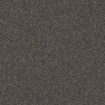 ブラック 塗り壁調  防かび  サンゲツ FE76552 