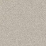 グレー 塗り壁調  防かび  サンゲツ FE78215 旧品番FE76550