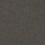 ブラック 塗り壁調  防かび  サンゲツ FE78217 旧品番FE76552