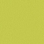 グリーン 塗り壁調  防かび 抗菌 撥水  サンゲツ FE78239 