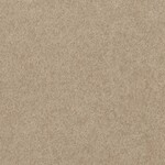 ブラウン 無地  防かび 抗菌  サンゲツ FE78361 旧品番FE76140