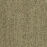 グリーン 塗り壁調  防かび 抗菌 撥水  サンゲツ FE78378 旧品番FE76135