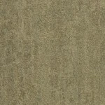 グリーン 塗り壁調  防かび 抗菌 撥水  サンゲツ FE78378 旧品番FE76135