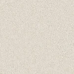 ライトグレー 塗り壁調  防かび 抗菌 表面強化 撥水  サンゲツ FE78435 
