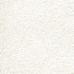 シャドーホワイト 塗り壁調  防かび 抗菌 表面強化 撥水  サンゲツ FE78441 旧品番FE76253