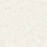 シャドーホワイト 塗り壁調  防かび 抗菌 表面強化 撥水  サンゲツ FE78445 