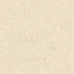ベージュ 塗り壁調  防かび 抗菌 表面強化 撥水  サンゲツ FE78446 
