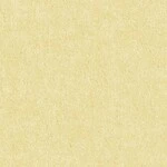 イエロー 塗り壁調  防かび 抗菌 吸放湿   サンゲツ FE78586 