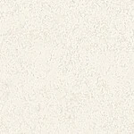 シャドーホワイト 塗り壁調  通気性 防かび  サンゲツ FE78601 旧品番FE76446