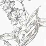 グレー フラワー  防かび 抗菌 撥水  サンゲツ FE78623 