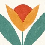 オレンジ 北欧デザイン  防かび 抗菌  サンゲツ FE78647 
