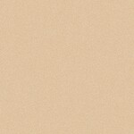 オレンジ 抗菌 サンゲツ HM-11171 旧品番HM-10170
