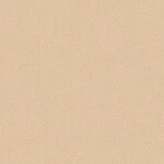 オレンジ 抗菌 サンゲツ HM-11171 旧品番HM-10170