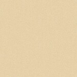 オレンジ 抗菌 サンゲツ HM-11172 旧品番HM-10171
