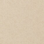 ベージュ プレーン サンゲツ IS2176 旧品番NK1007