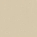 ベージュ  塗り壁調 トップコート  防かび  リリカラ LL-6035 