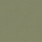 グリーン  塗り壁調 トップコート  防かび  リリカラ LL-6043 