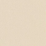 ベージュ  塗り壁調 トップコート  防かび  リリカラ LL-6261 旧品番LL-7400