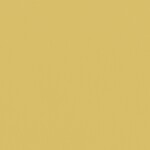 イエロー  無地 トップコート  防かび 抗菌  リリカラ LL-6304 