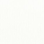 シャドーホワイト  無地 トップコート  防かび 抗菌  リリカラ LL-6305 