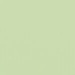 グリーン  無地 トップコート  防かび 抗菌  リリカラ LL-6306 