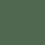 グリーン  無地 トップコート  防かび 抗菌  リリカラ LL-6309 