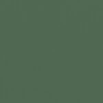 グリーン  無地 トップコート  防かび 抗菌  リリカラ LL-6309 