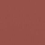 レッド  無地 トップコート  防かび 抗菌  リリカラ LL-6318 