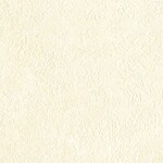 アイボリー  塗り壁調 トップコート  防かび  リリカラ LL-6326 旧品番LL-7034