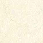 アイボリー  塗り壁調 トップコート  防かび  リリカラ LL-6326 旧品番LL-7034